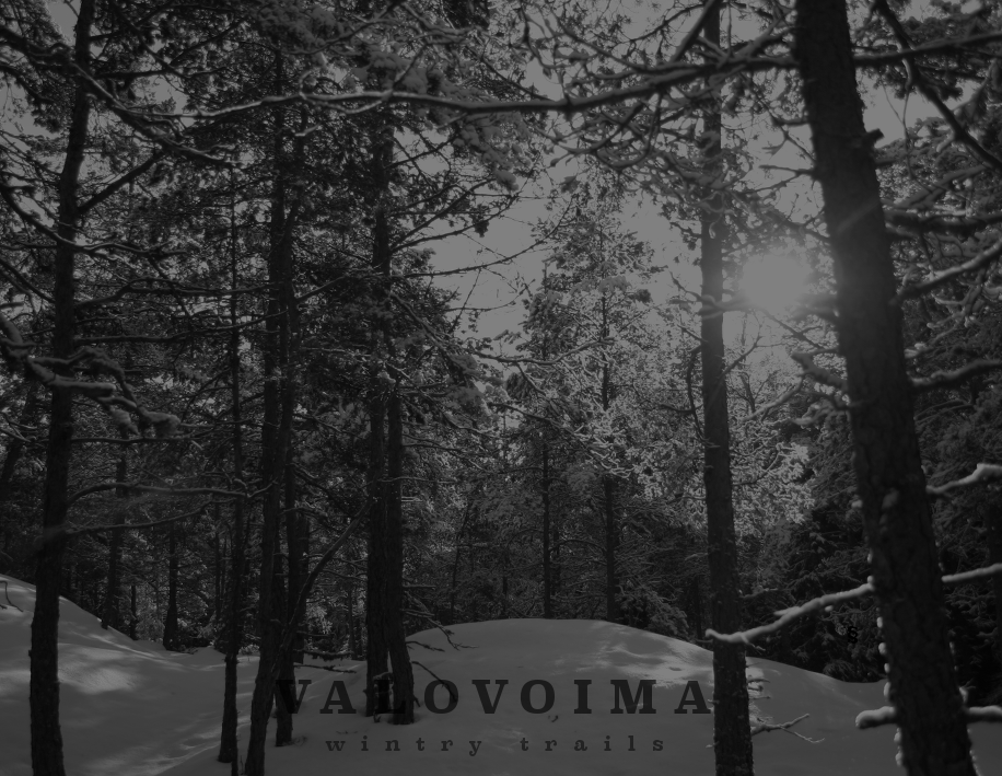 Valovoima%20-%20Wintry%20trails.png